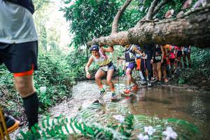 BIB: 
                            <button type="button" onclick="openModal(25472701)" class="btn btn-primary btn-sm float-right btn-popup" data-toggle="modal" data-target=".modal-high-quality">
                        <i class="fas fa-shopping-cart"></i> Add to Cart
                    </button>
                                            <button type="button" onclick="isThisMe(25472701, true)" class="btn btn-success btn-sm float-right btn-popup btn-isme hidden" data-toggle="tooltip" data-placement="bottom" title="นี่คือรูปของคุณใช่ไหม คลิกที่นี่เพื่อเอาเข้าอัลบั้ม">
                        <i class="fas fa-plus"></i> Add to album
                    </button>
                    <button type="button" onclick="isThisMe(25472701, false)" class="btn btn-warning btn-sm float-right btn-popup btn-isnotme hidden">
                        <i class="fas fa-ban"></i> Remove from album
                    </button>